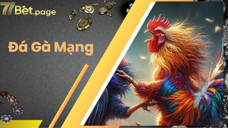 Đá Gà Mạng Là Gì? Hướng Dẫn Chơi Đá Gà Mạng Tại 77bet